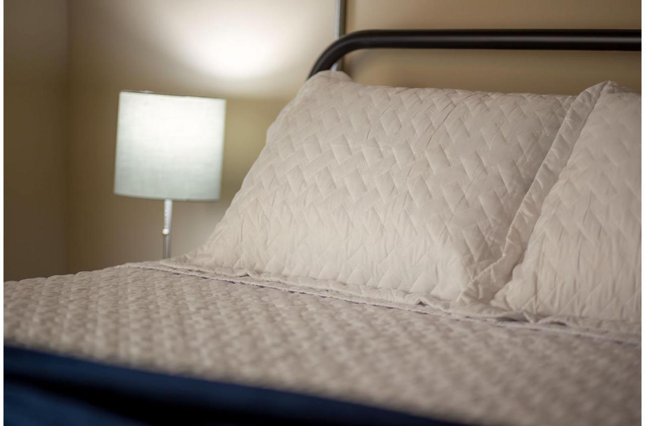 Gorgeous Guesthouse Near Amazing Downtown San Antonio Exteriér fotografie